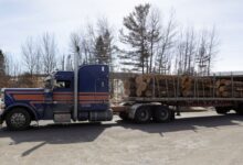 Tariffs may accelerate Canadian lumber industry’s southward shift, hunt for new markets