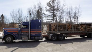 Tariffs may accelerate Canadian lumber industry’s southward shift, hunt for new markets