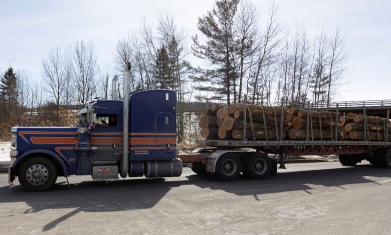 Tariffs may accelerate Canadian lumber industry’s southward shift, hunt for new markets